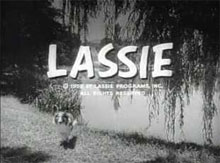 Lassie