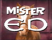 Mister Ed